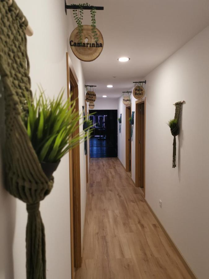 Atlantic Nature Beach House Poco da Cruz 外观 照片